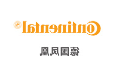 凤凰集团人力资源咨询项目案例