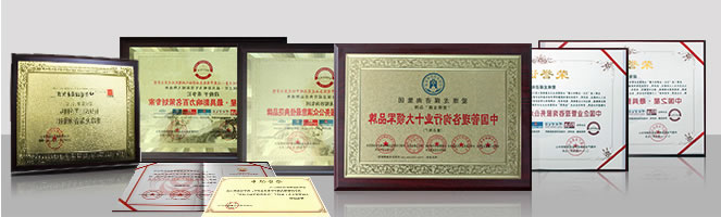 荣誉证书.jpg