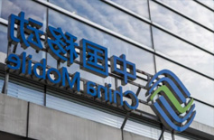  中国移动某省会分公司企业文化咨询项目