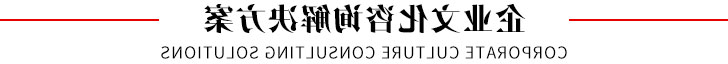 企业文化咨询解决方案