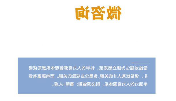 人力资源微咨询